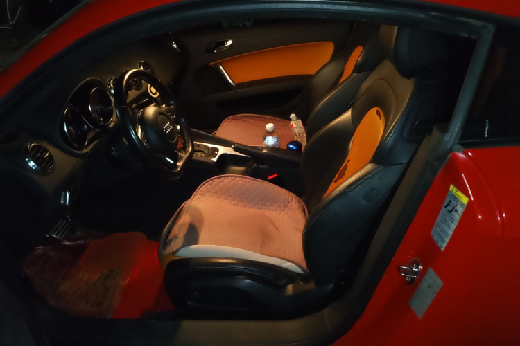 奥迪TT 2010款 TT 2.0TFSI典藏版中控内饰19