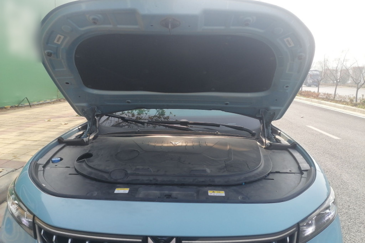 岚图汽车 岚图FREE 2021款 四驱标准增程专属豪华套装机舱底盘24