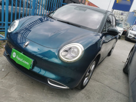 欧拉好猫 2022款 400km标准续航 豪华型 三元锂