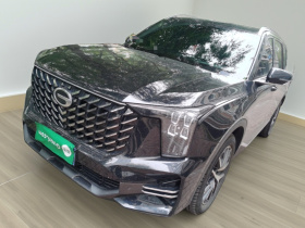 广汽传祺 传祺GS8 2022款 领航系列 2.0TGDI 四驱豪华智联版（七座）