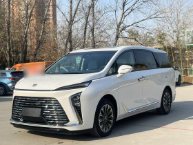 别克GL8 2025款 陆尊 智享版