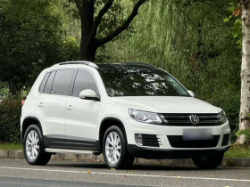 大众 途观 2016款 280TSI 自动两驱丝绸之路风尚版