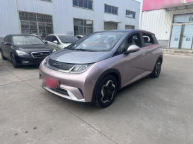 比亚迪 海豚 2021款 405km 时尚版