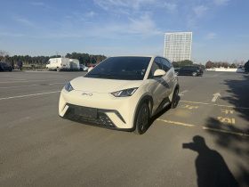 比亚迪 海鸥 2025款 305km 活力版