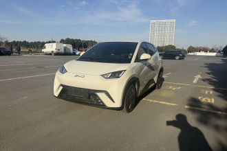 比亚迪 海鸥 2025款 305km 活力版