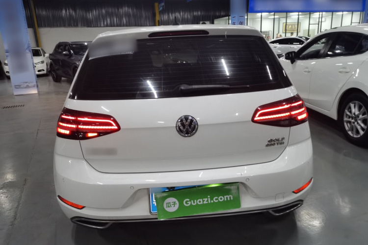 大众 高尔夫 2019款 280TSI DSG豪华型 国VI车身外观6