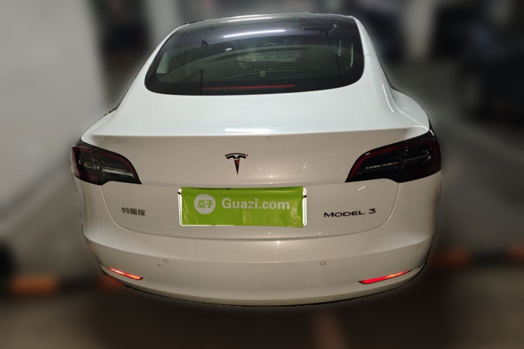 特斯拉 Model 3 2021款 标准续航后驱升级版车身外观6004