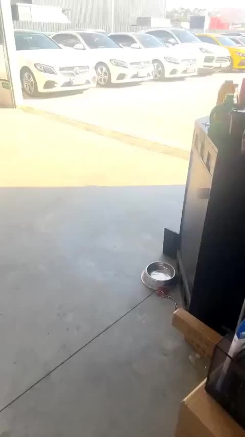 宝马3系 2024款 325i M运动套装讲解2