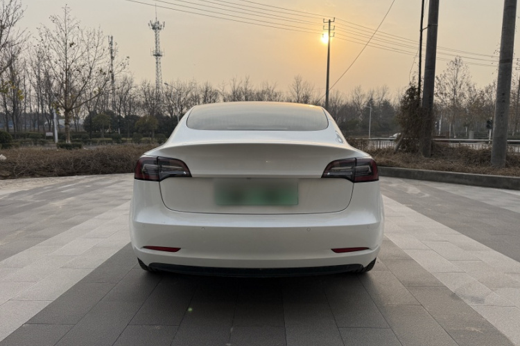 特斯拉 Model 3 2019款 标准续航后驱升级版车身外观6003