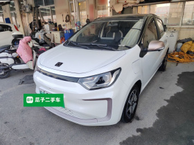 思皓 2022款 花仙子款 向日葵