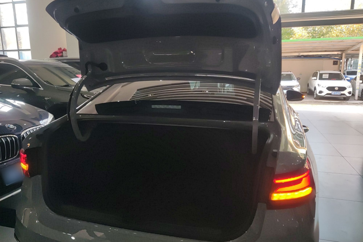 大众 朗逸 2023款 300TSI DSG星空满逸版局部细节23