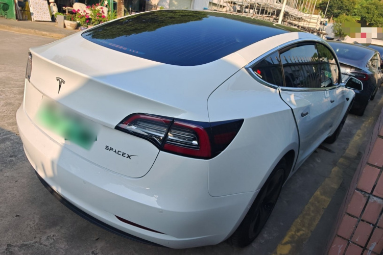 特斯拉 Model 3(进口)  标准续航后驱升级版(60度)车身外观6005