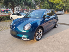 欧拉好猫 2023款 401km标准续航 尊贵型 磷酸铁锂