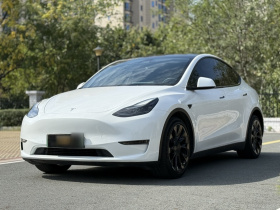 特斯拉 Model Y 2021款 长续航全轮驱动版