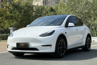 特斯拉 Model Y 2021款 长续航全轮驱动版