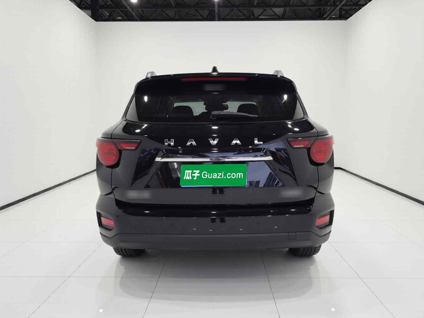哈弗大狗 PLUS 2023款 1.5T 两驱潮野版Plus(4)
