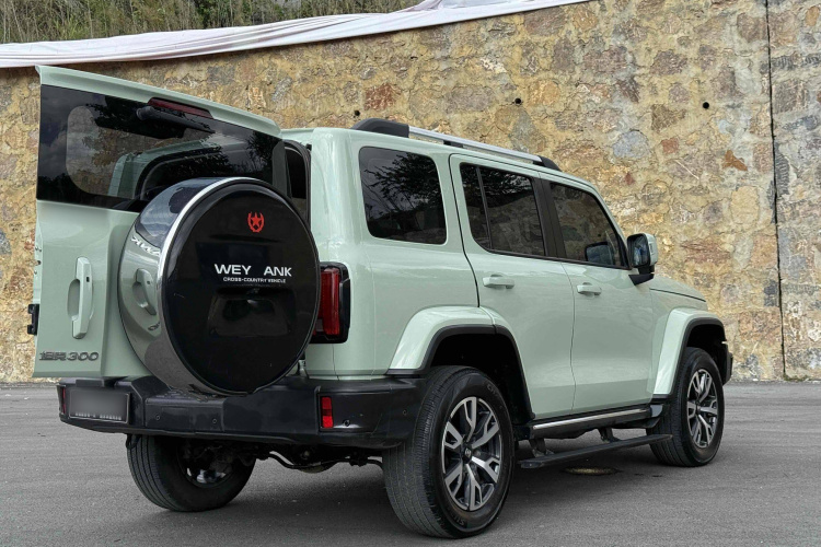 坦克300 2021款 城市版 2.0T 很有型车身外观6006