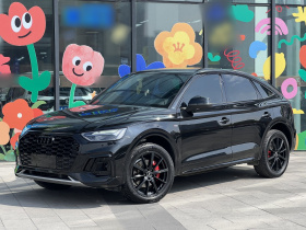 奥迪Q5L Sportback 2024款 40 TFSI 豪华型
