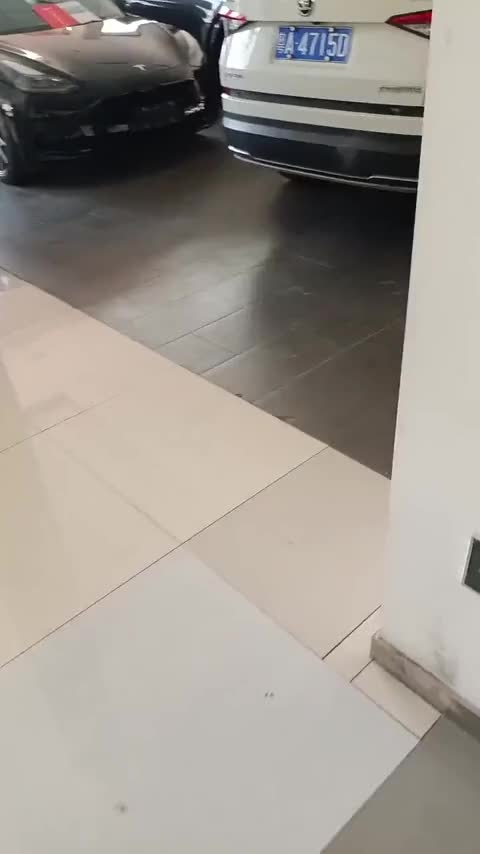 领克08 EM-P 2025款 245km 超长续航Halo讲解2