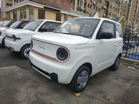 吉利银河 2024款 熊猫mini 200km 耐力熊