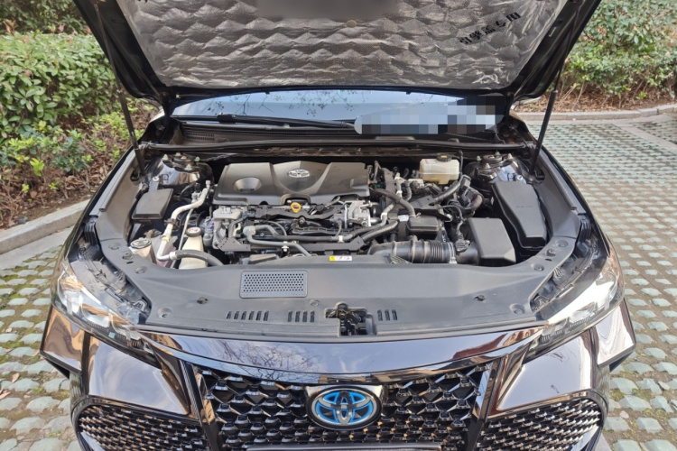 丰田 亚洲龙 2019款 双擎 2.5L XLE尊贵版 国VI局部细节24