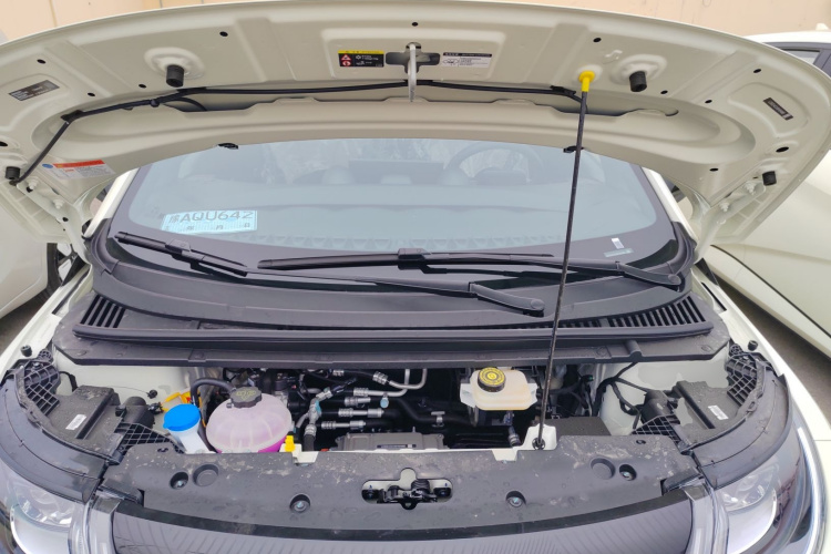 比亚迪 海豚 2025款 420km 自由版机舱底盘24