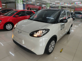 五菱汽车 五菱缤果 2023款 203km 轻享款