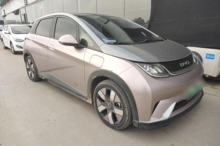 比亚迪 海豚 2021款 401km 骑士版车身外观6002