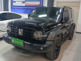 坦克300 2021款 越野版 2.0T 挑战者