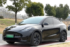 特斯拉 Model Y 2023款 后轮驱动版