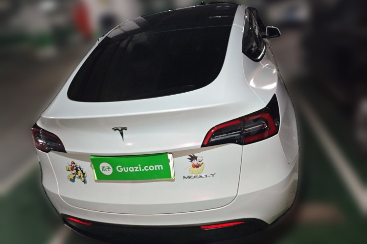 特斯拉 Model Y 2021款 标准续航后驱版车身外观6004