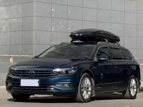 大众 蔚揽 2021款 2.0T 舒行版