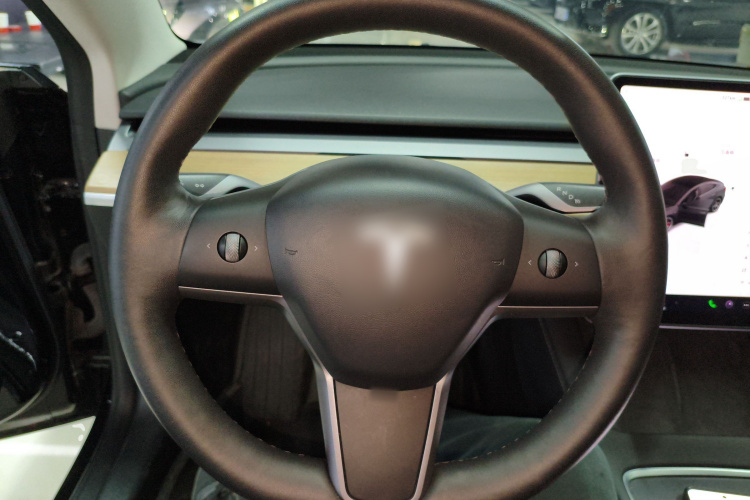 特斯拉 Model 3 2021款 改款二 Performance高性能全轮驱动版中控内饰13