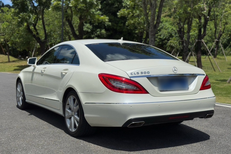 奔驰CLS 2012款 CLS 300 CGI车身外观6008