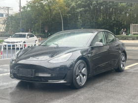 特斯拉 Model 3 2021款 标准续航后驱升级版