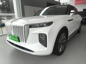 红旗E-HS9 2022款 660km 旗畅版 六座