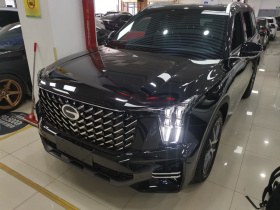 广汽传祺 传祺GS8 2024款 领航系列 2.0TGDI 两驱豪华智联版