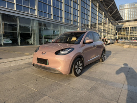 五菱汽车 五菱缤果 2023款 333km 悦享款