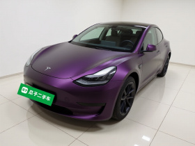 特斯拉 Model 3 2019款 标准续航后驱升级版