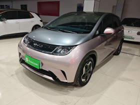 比亚迪 海豚 2021款 405km 时尚版