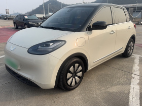 五菱汽车 五菱缤果 2023款 333km 灵犀互联+款