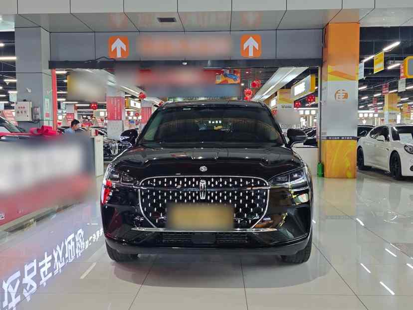 林肯 冒险家 2024款 2.0T 两驱尊享版(5)