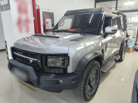 捷途旅行者 2024款 2.0T 四驱银龙之翼