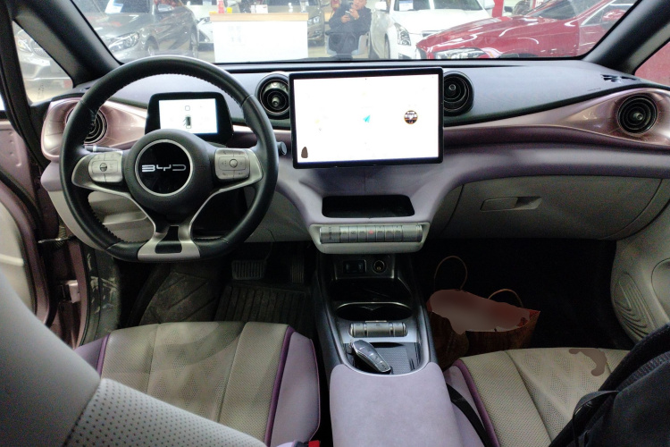 比亚迪 海豚 2023款 401km 骑士版中控内饰12
