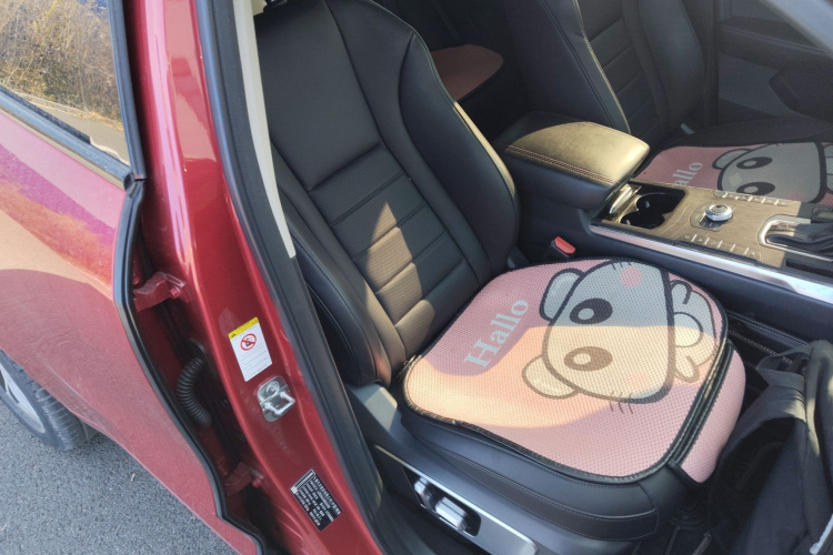 魏牌 VV5 2017款 2.0T 超豪型局部细节41