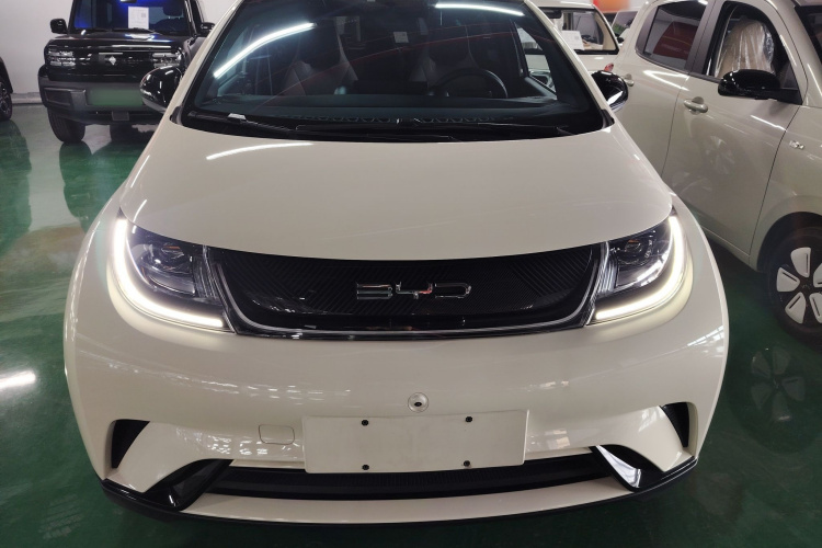 比亚迪 海豚 2023款 420km 自由版车身外观2