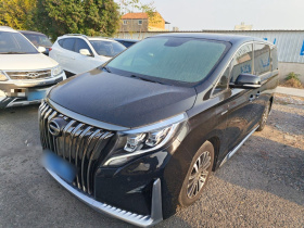 广汽传祺 传祺M8 2021款 大师系列 390T 尊贵版