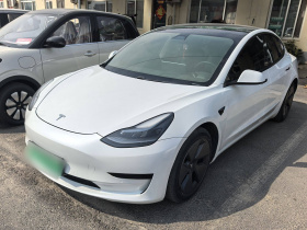 特斯拉 Model 3 2021款 标准续航后驱升级版