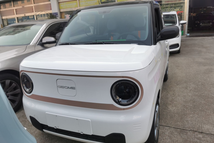 吉利银河 2024款 熊猫mini 200km 耐力熊车身外观6001