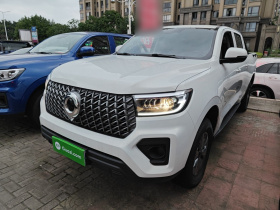 长城 炮 2024款 2.4T商用版自动柴油四驱精英型